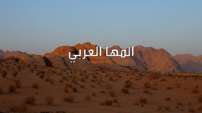 Saison 1 épisode 1 - L’oryx arabe