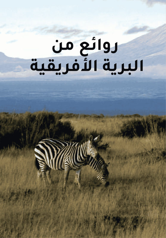 Merveilles de la faune africaine poster
