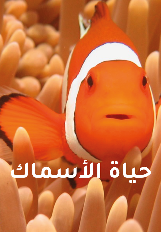 حياة الأسماك poster