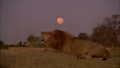 Saison 1 épisode 1 - Episode 01