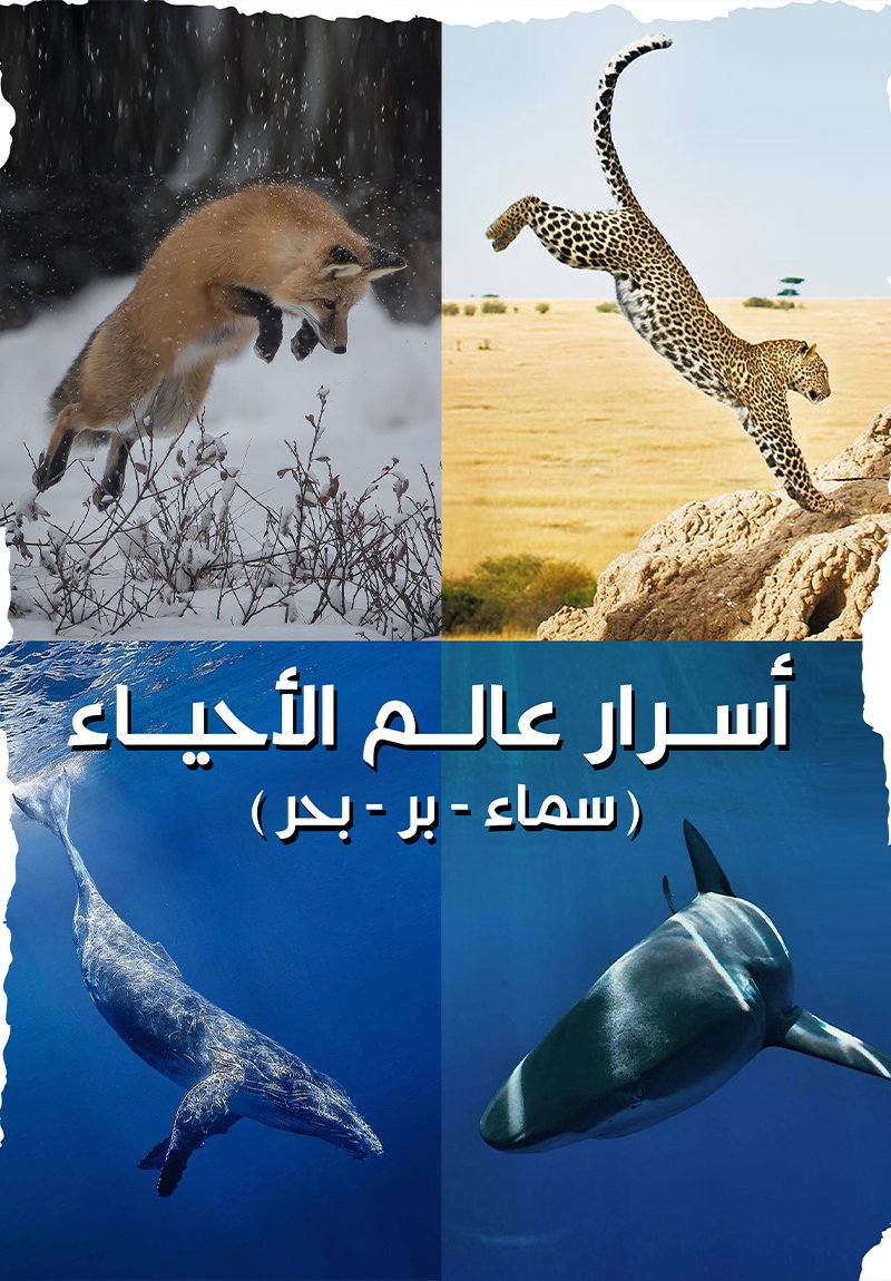 Secrets of the Living World (Sky - Land - Sea) poster