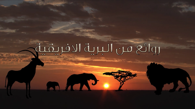 Saison 1 épisode 1 - Héros de la savane