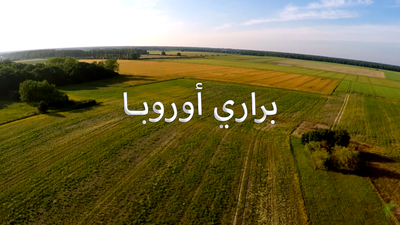 Saison 1 épisode 1 - Le bison européen