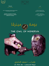 The owl of Minerva poster