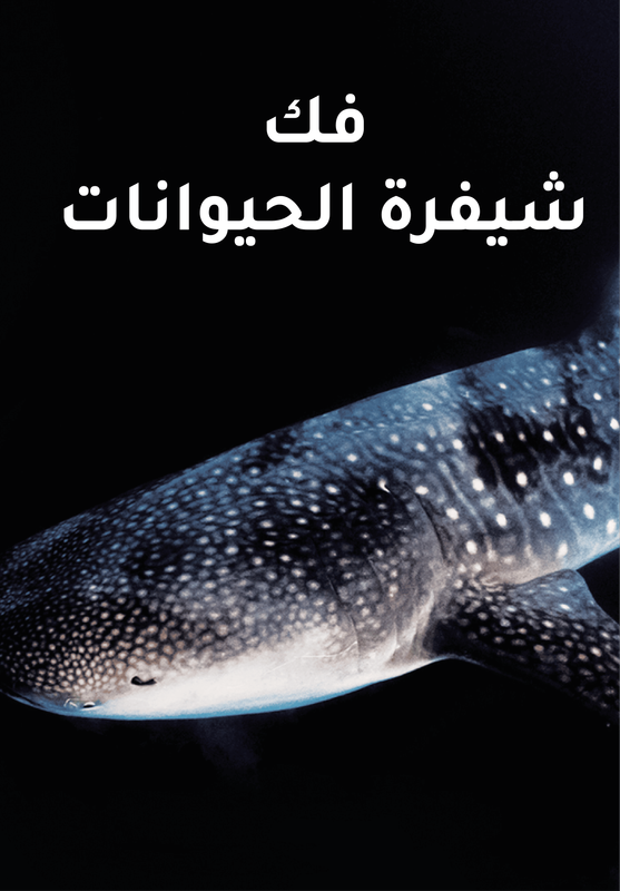 Décoder le langage animal poster