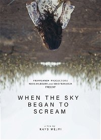 When The Sky Began To Scream poster