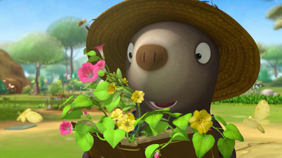 صور 1 - المزارع الصغير رابي