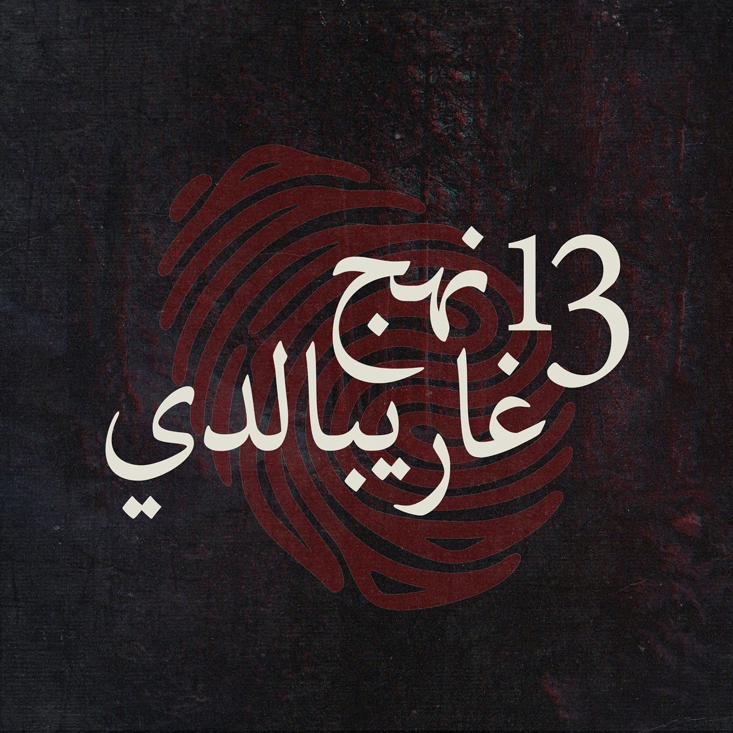 13 Garibaldi Street poster