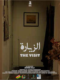 La Visite poster