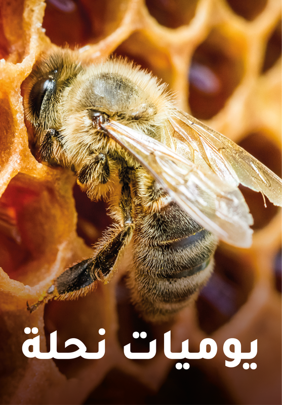 Bee's Diary poster