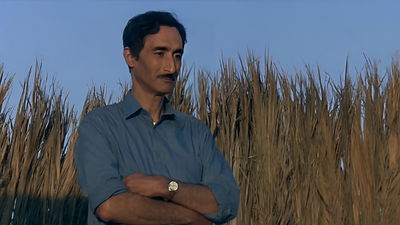 Galerie 1 - Un Si Beau Voyage