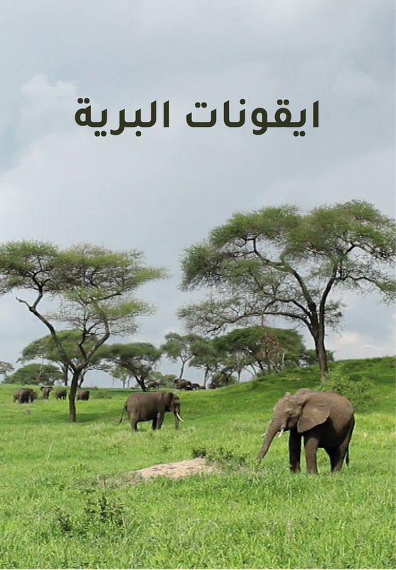 Wildlife Icons poster