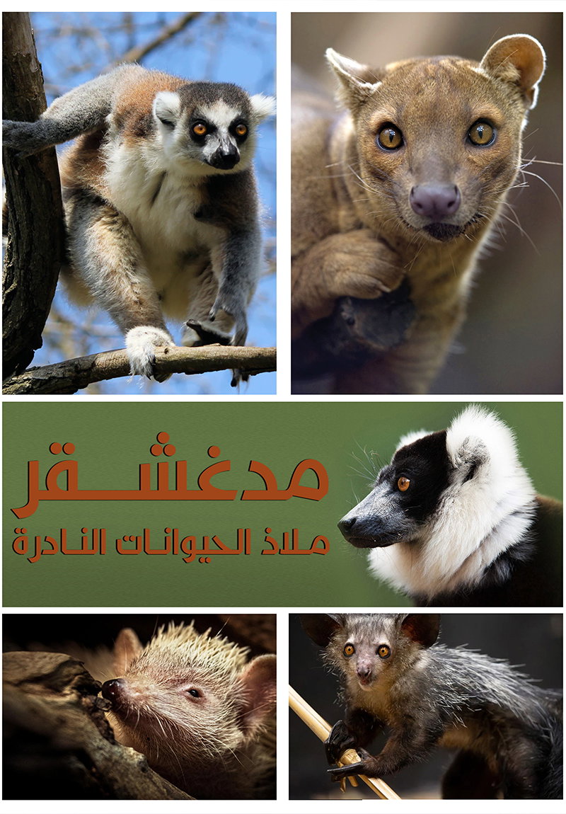 Madagascar : Un refuge pour les animaux rares poster